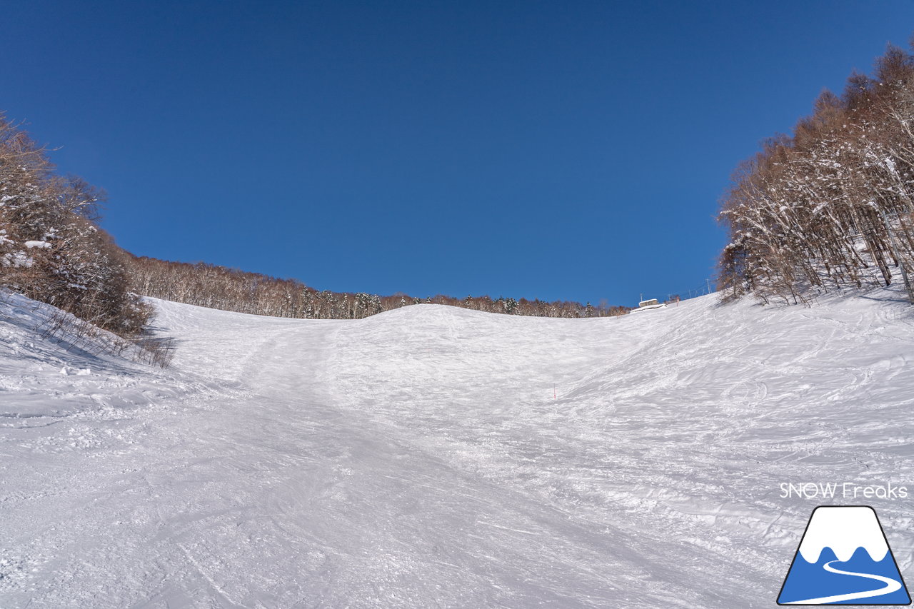 札幌藻岩山スキー場｜本日、雲一つ無い快晴！札幌藻岩山の全10コースの滑走にチャレンジ(^^)/